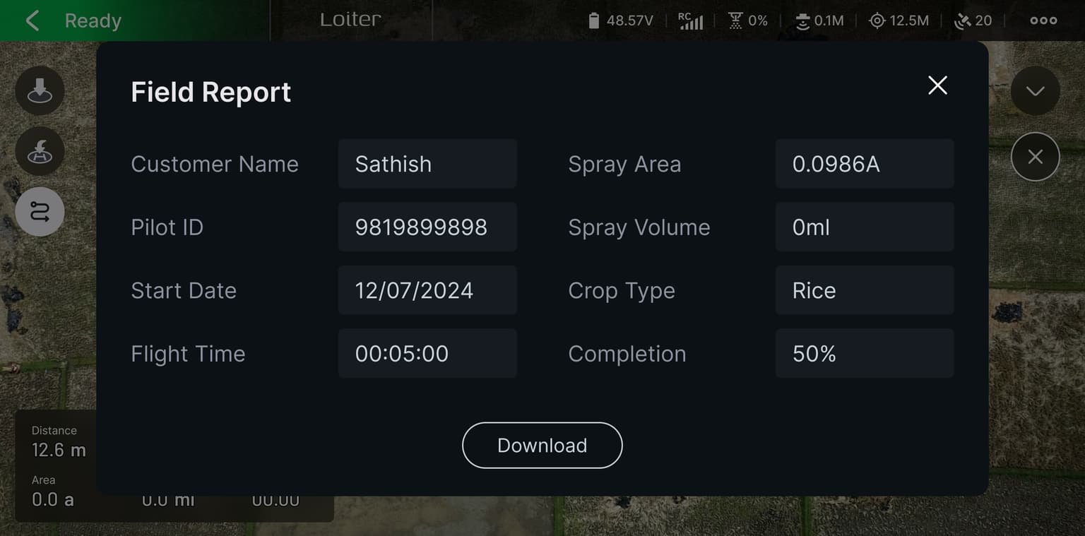 Automatic report generation interface preview